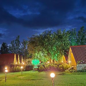 Green Orchid Resort And Farm